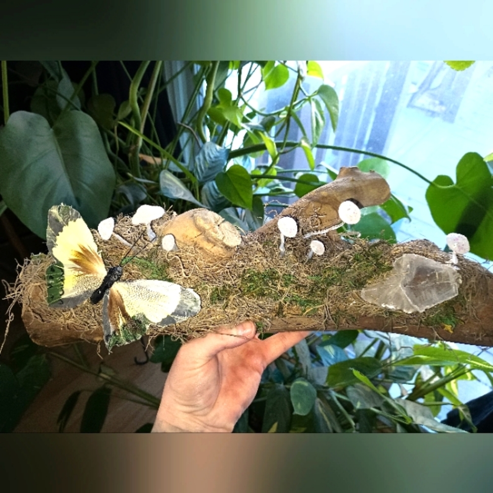 Fairy log